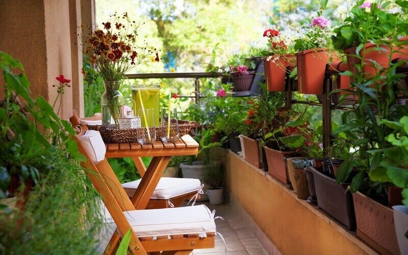 How To Create North Apartment A Garden In A Small Balcony Space Easily