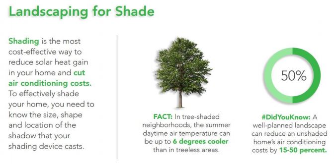 032 Trees And Climate Change Fact Sheets Publications Forestry