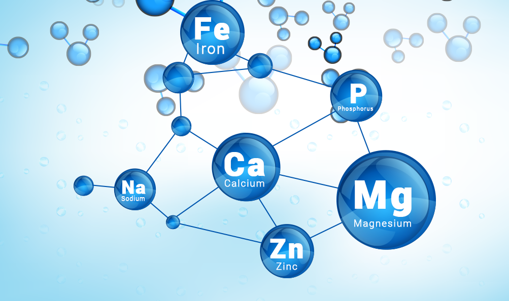 1 1 Introduction Chemistry In Our Lives Inorganic Chemistry For