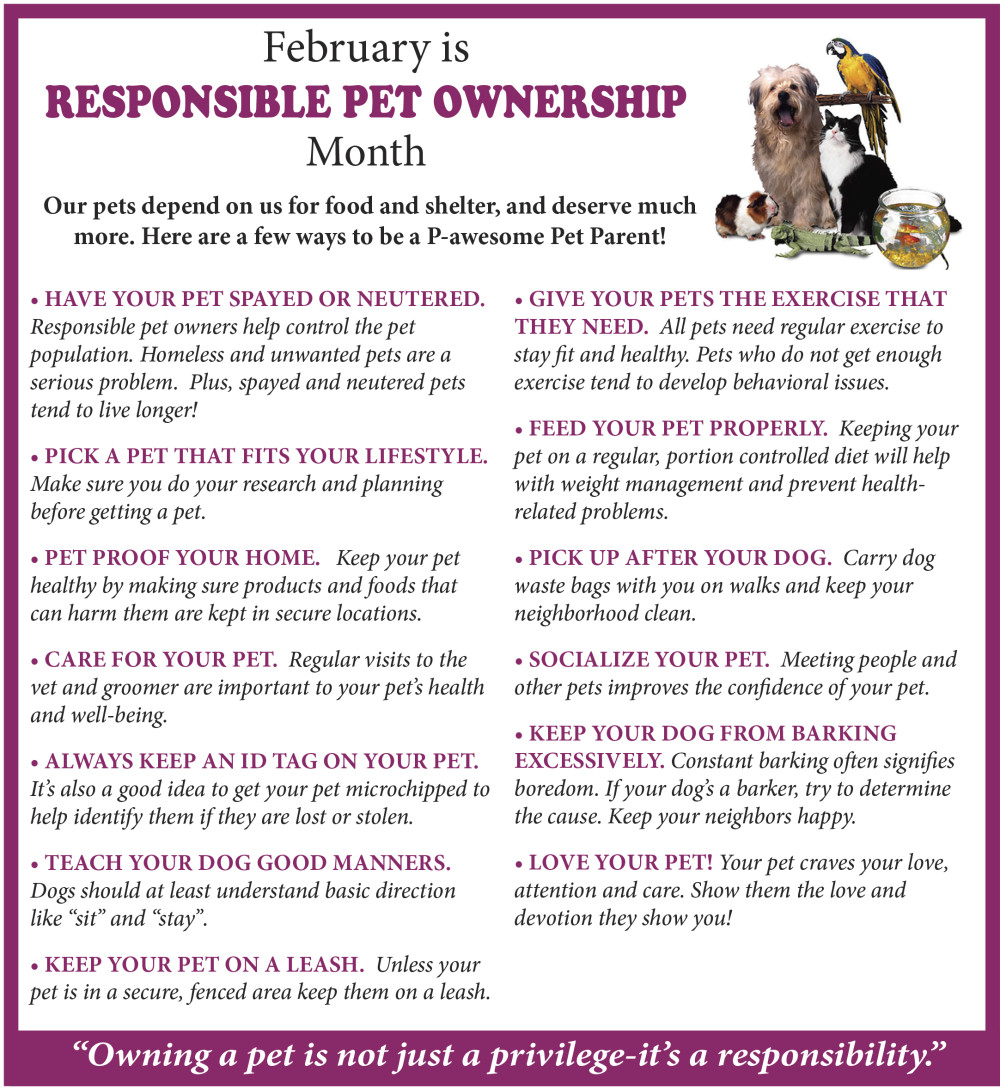 10 Easy Ways To Learn How To Interpret Puppy Behavior For Responsible Pet Ownership