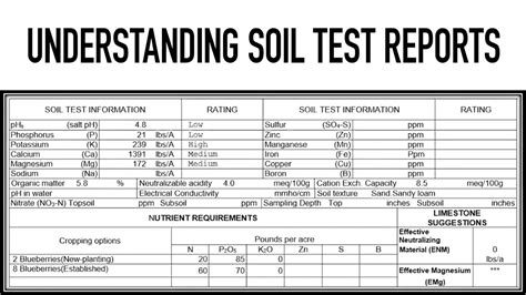 10 Expert Strategies For Creating A Soil Test Umass Action Plan For Gardening