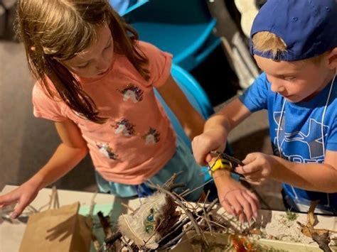 12 Expert Recommendations For Morrill Science Center Summer Camps