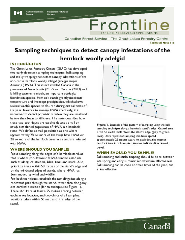 12 Expert Tips For Dinotefuran Treatment Against Hemlock Woolly Adelgid Infestations Successfully