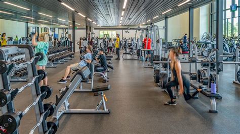 12 Expert Tips For Umass Campus Recreation Fitness In 2024 Success