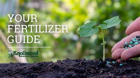 13 Best Fertilizer Options For Shrubs And Topsoil In The Summer