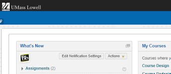 14 Complete Solutions For Umass Boston Blackboard Learn Technical Issues