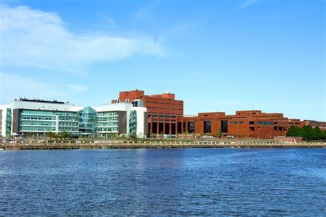 15 Essential Resources For Umass Boston Summer Term Students To Utilize