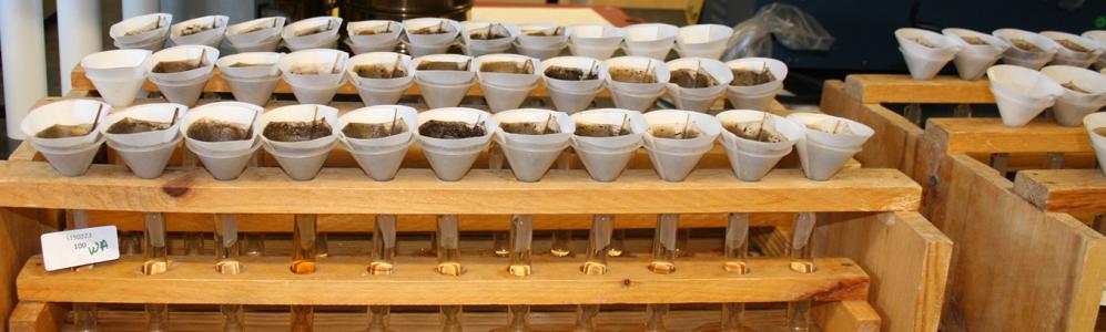 15 Essential Soil Testing Umass Procedures For A Healthy Environment 2025