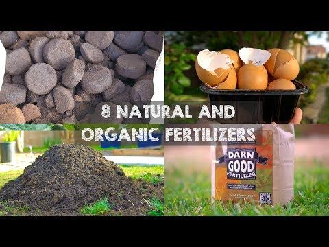 8 Natural And Organic Fertilizers To Grow Big Plants Youtube