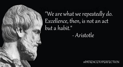 Aristotle Excellence Motivation Inspiration Aristotle Einstein