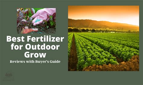 Best Fertilizer For Outdoor Grow 2023 Ultimate Buyers Guide