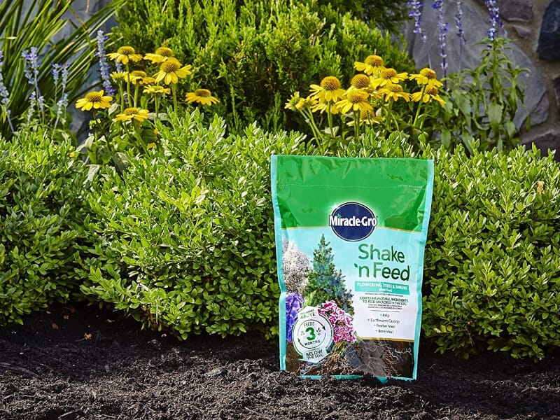 Best Fertilizer For Trees And Shrubs And How To Use Them