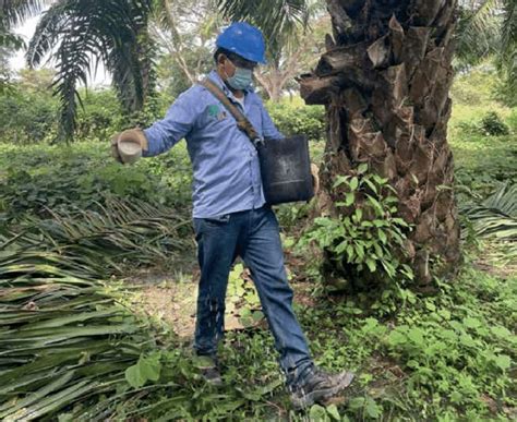 C Mo Aplicar Los Fertilizantes Agr Cola Valle Esperanza