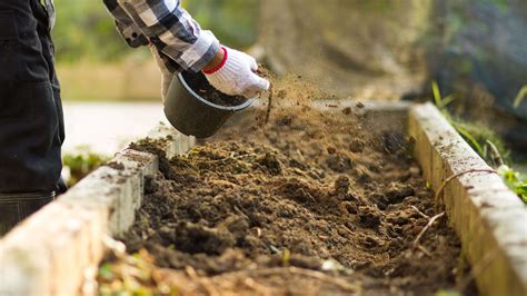 C Mo Elegir Fertilizantes Para El Suelo Abonos Y Enmiendas