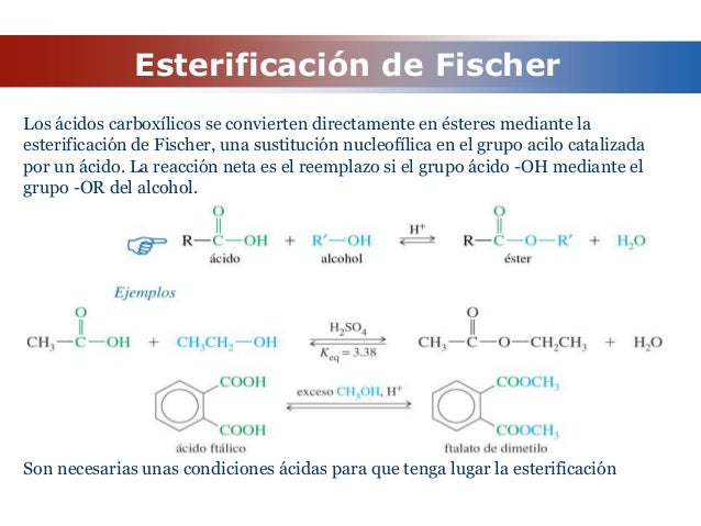 Cómo H Bond Distance Medir Con Precisión En Química Orgánica Avanzada