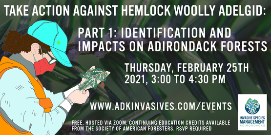 Cornell Cooperative Extension Take Action Against Hemlock Woolly