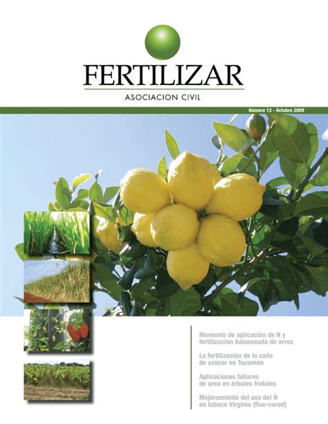 Details 48 Fertilizaci N De Rboles Frutales Abzlocal Mx