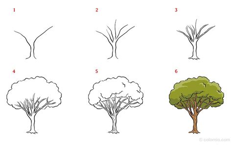 Drawing A Tree Is Not Too Hard If You Follow Some Simple Steps Draw