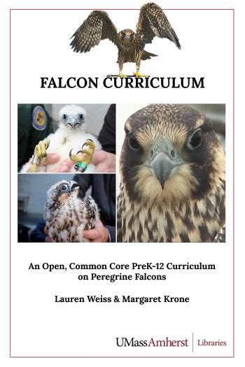 Five Senses The Umass Amherst Libraries Falcon Curriculum An Open