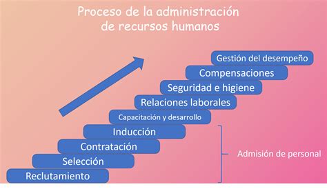 Forma Parte Del Proceso De Provisi N De Los Recursos Humanos C Mo