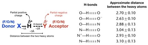 How Does Hydrogen Bonding Distance Affect Molecular Structure In 2025 Research