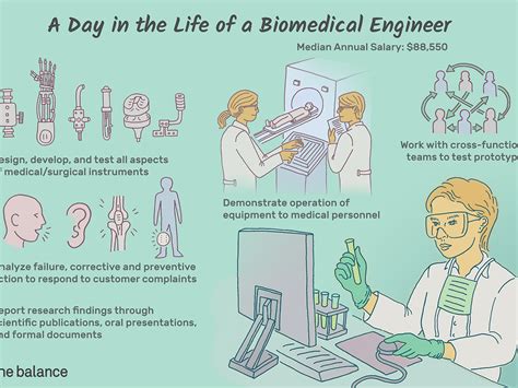 How To Become A Biomedical Engineer Collegelearners Com