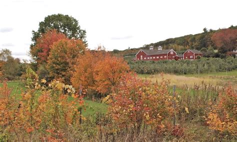 How To Cold Spring Orchard Belchertown Take A Scenic Drive In 2 Hours Easily