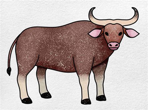 How To Draw An Ox Helloartsy