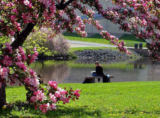 How To Graduate With Honors From Umass Amherst English Department In 4 Years