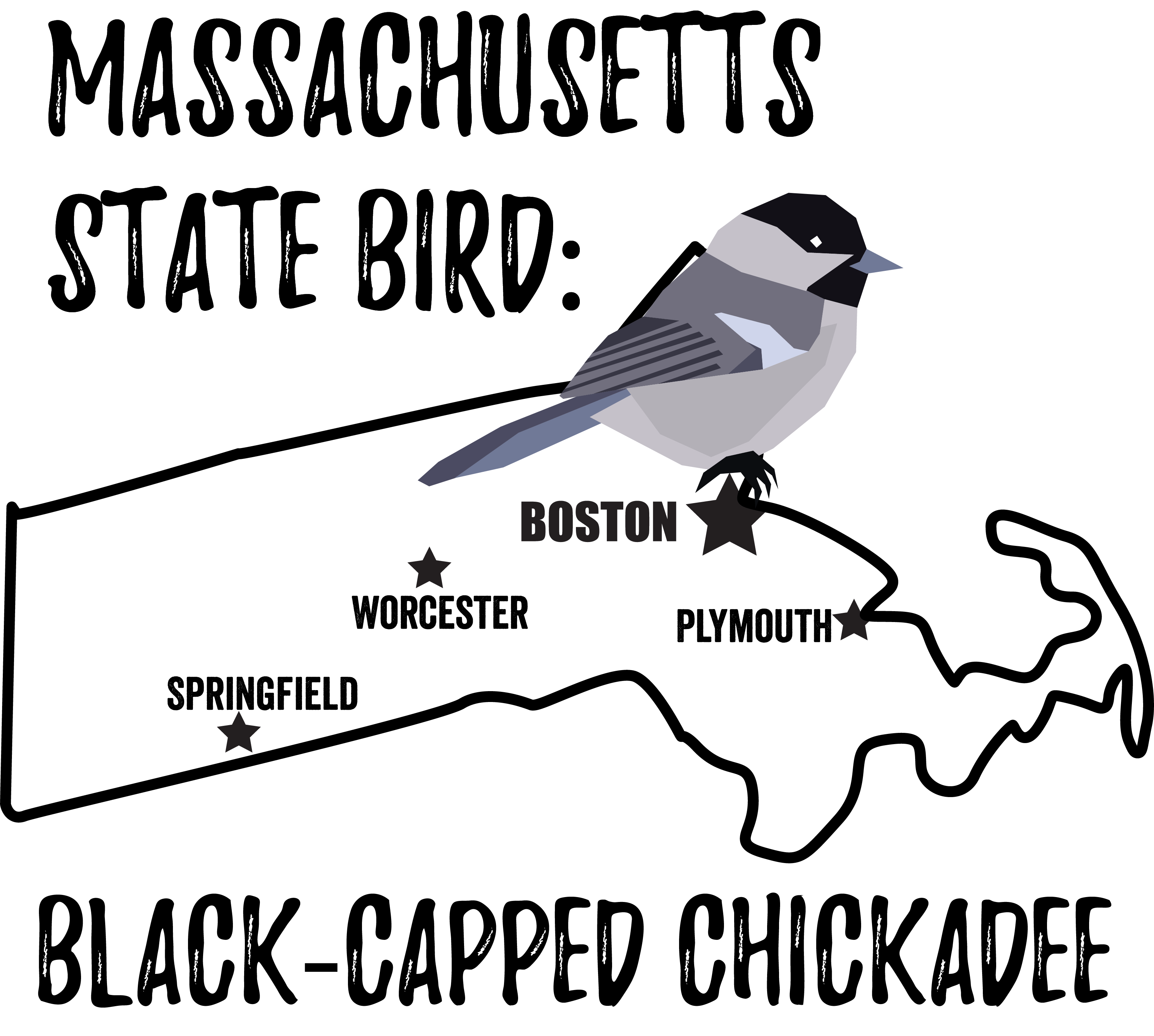 How To Identify The Massachusetts State Bird In Its Habitat Easily