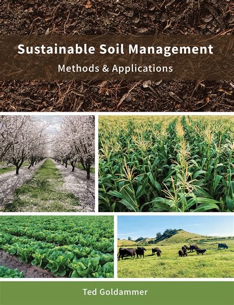 How To Interpret Umass Soil Test Data For Better Farming Decisions