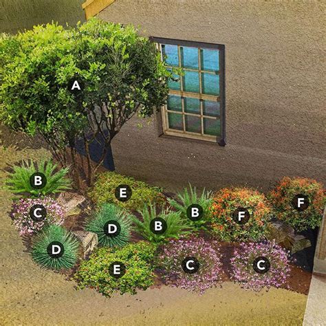 How To Plan A Southwest Residential Area Garden For Beginners Easily