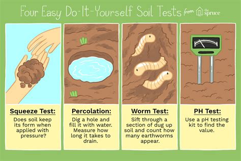 How To Prepare Your Soil For A Umass Soil Test In 10 Easy Steps