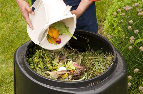 How To Use Compost As Fertiliser For Shrubs Eco Friendly Guide