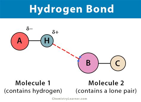 Hydrogen Bond Chemistry