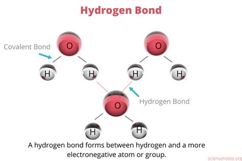 Hydrogen Bond