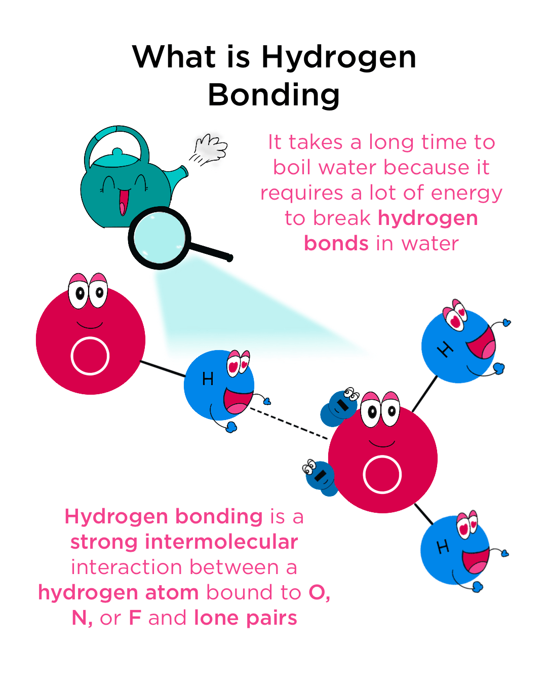 Hydrogen Bonding In Dnapairs