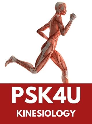 Introductory Kinesiology Psk4u Online Courses Tvo Learn