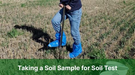 Lawn Care How To Take A Soil Sample For A Soil Test Soil Testing Lawn Soil Organic Lawn Care