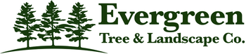 Mass State Tree Evergreen Tree Landscape Co