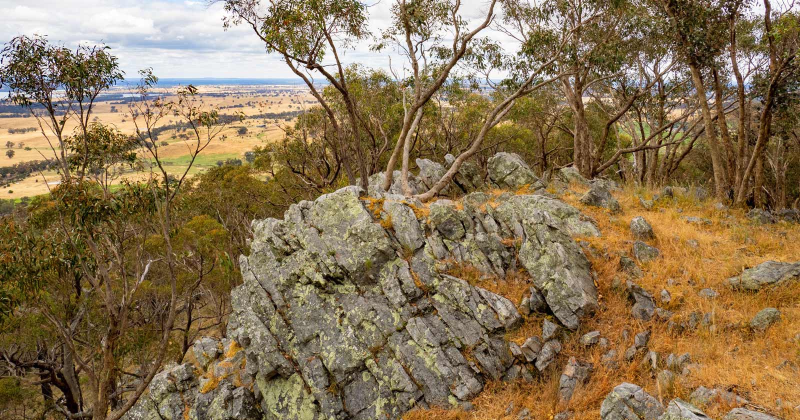 Mount Ida Dargile Forest Hike 14 5Km Heathcote Graytown National