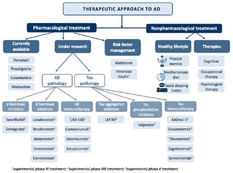 Overview Of The Main Treatments In The Therapeutic Approach To