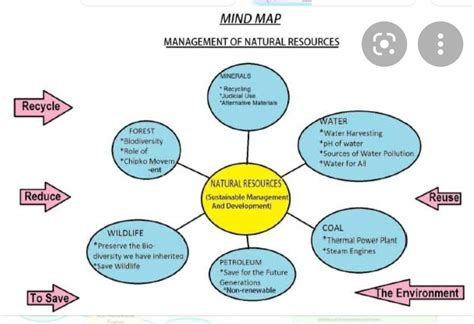 People As Resource Class 9 Mind Map Hot Sex Picture