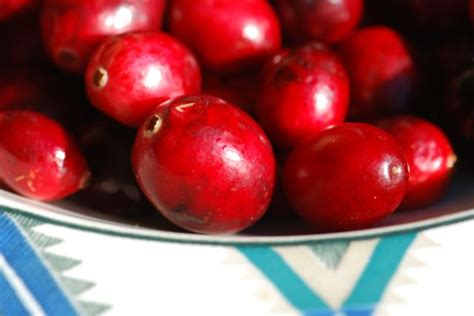 Picture Of The Week Cranberries