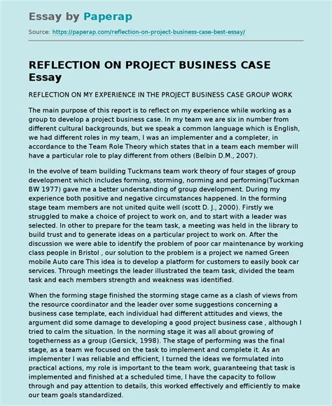 Reflection On Project Business Case Reflective Essay Example