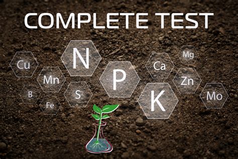 Soil And Plant Nutrient Testing Laboratory Sampling Instructions For