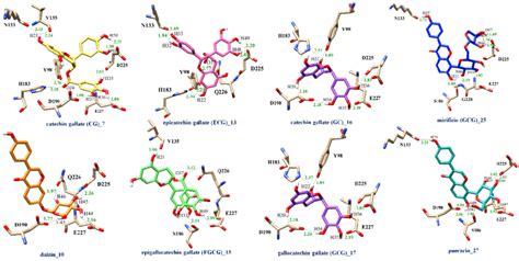 The Hydrogen Bond Interaction And Bond Distances Of 8 Flavonoid