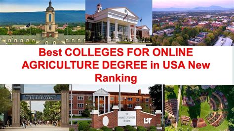 Top 30 Colleges For An Online Agriculture Degree 2022