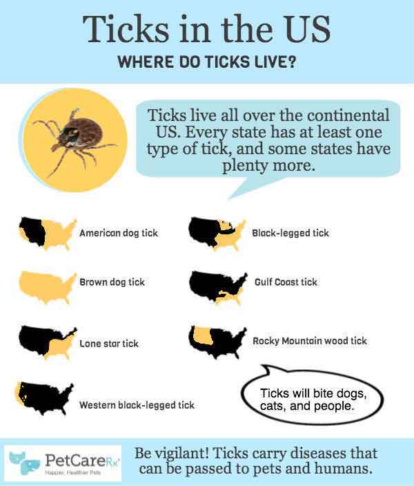 Types Of Ticks In The Us Where Ticks Live Petcarerx