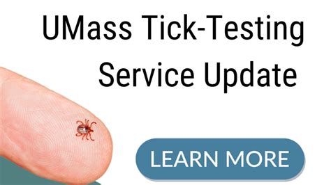 Umass Tick Testing Service Temporarily Sidelined By Work Furloughs